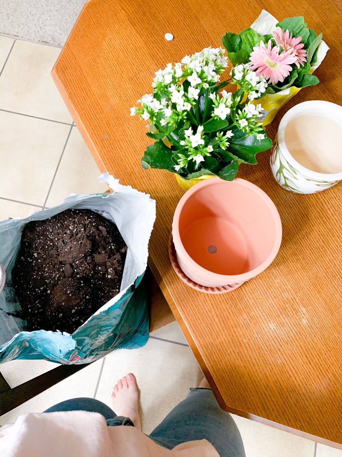 Target Flower Pots for Indoor Plants