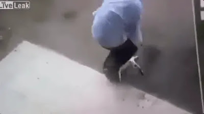 Hombre es atacado por un gato