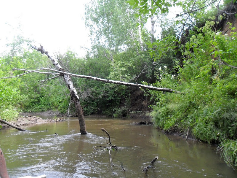 Река черемшанка