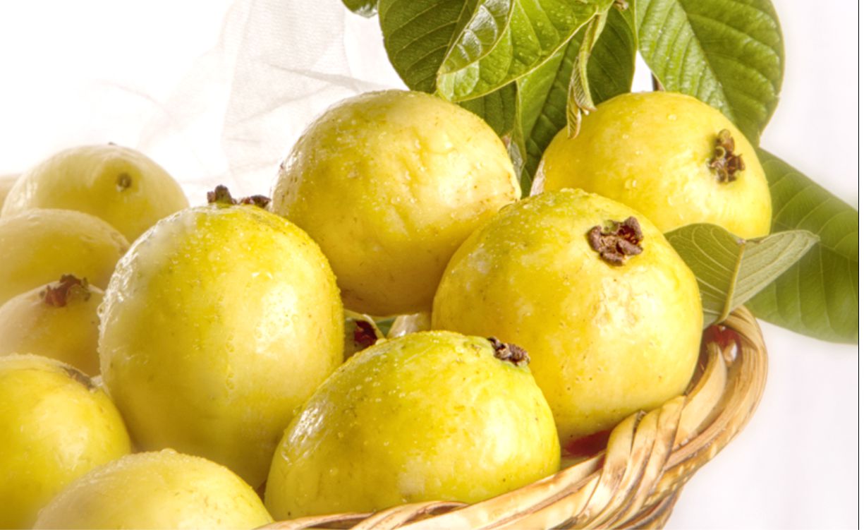 Hornito Magico Guayabas cocidas e infusión contra la diarrea (Receta)