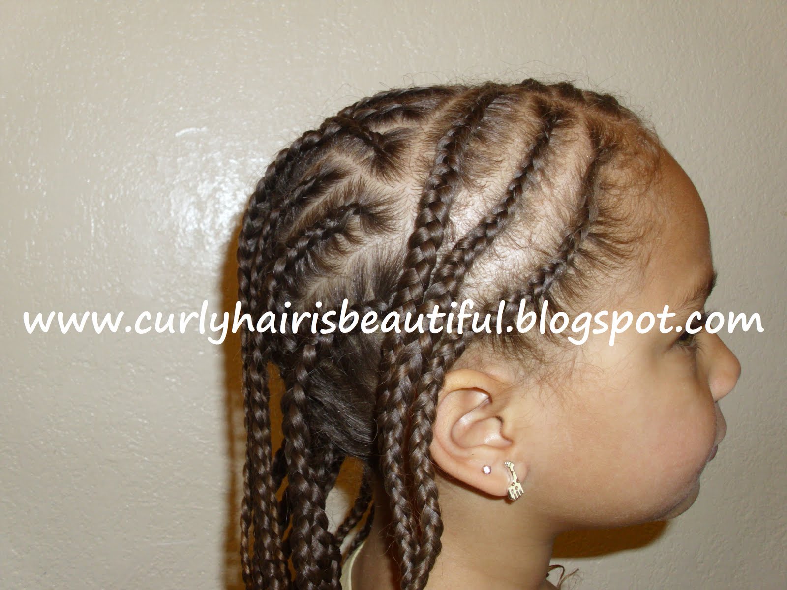 Curly Hair Is Beautiful!: Random Braids