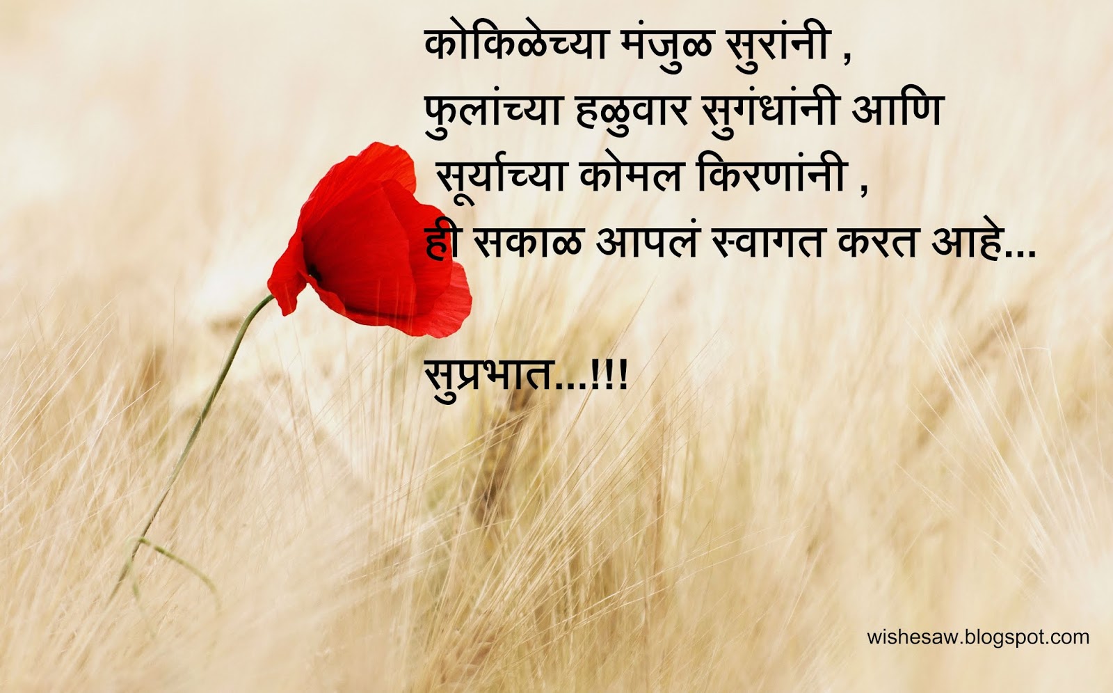 Share Chat Love Romantic Marathi Status Video Download bmpwatch