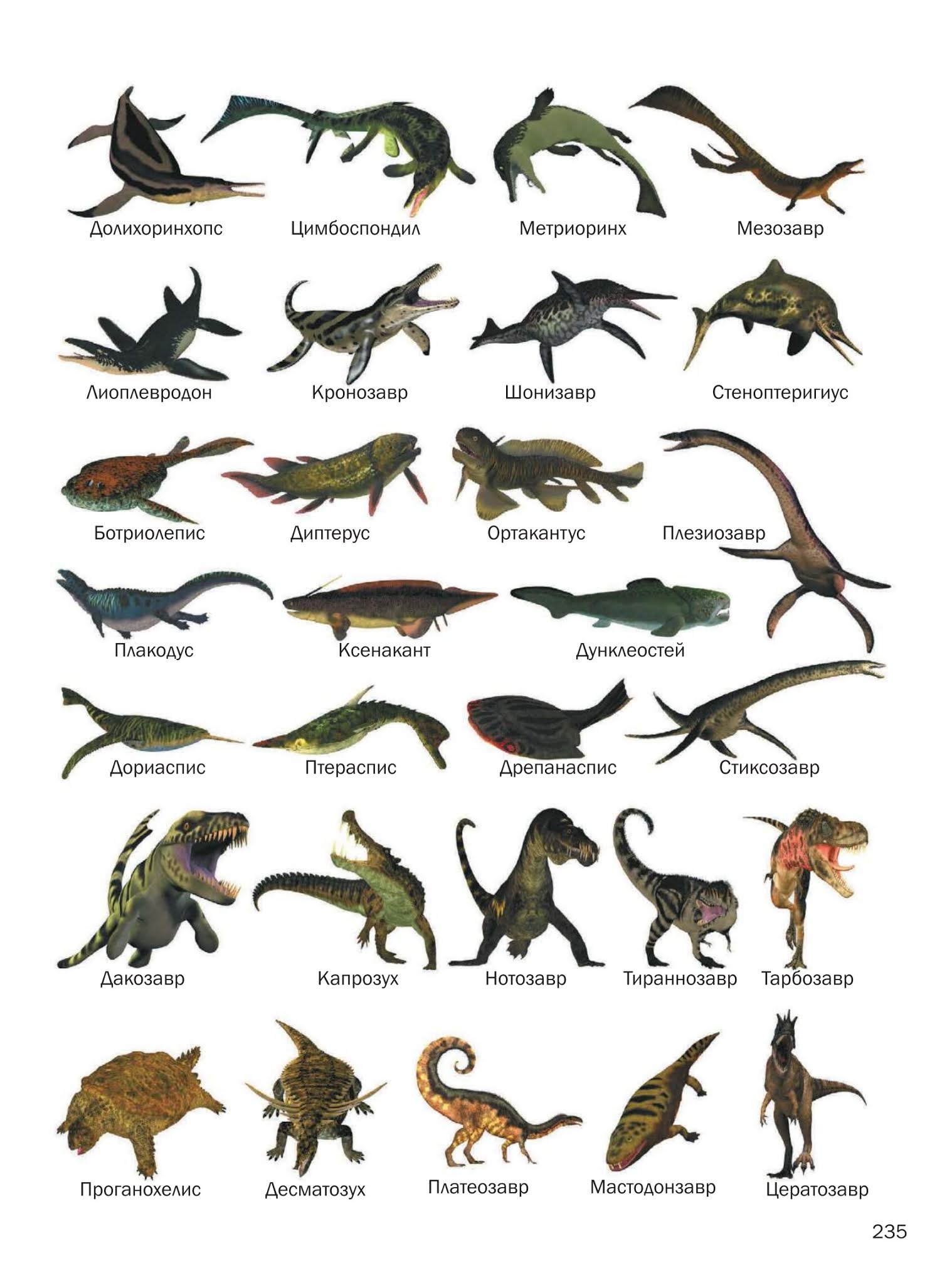 Нептичьи динозавры виды. Все виды динозавров. Динозавры названия. Название всех динозавров с картинками. Маленькие динозавры названия.