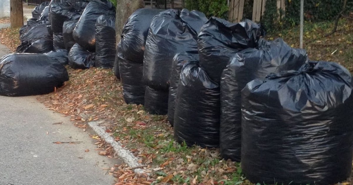 the Annandale Blog Fairfax County phasing out plastic bags for yard waste