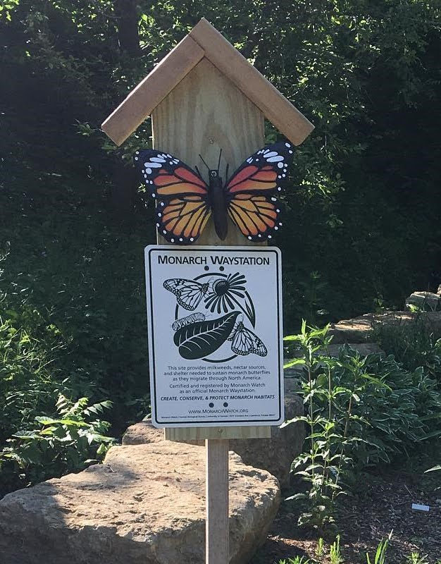 Uplands Garden Club August 2021 Meeting Monarch Butterflies and the