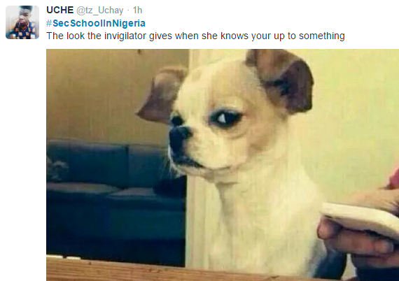 Nigerians recount their secondary school days using funny memes - Kemi ...