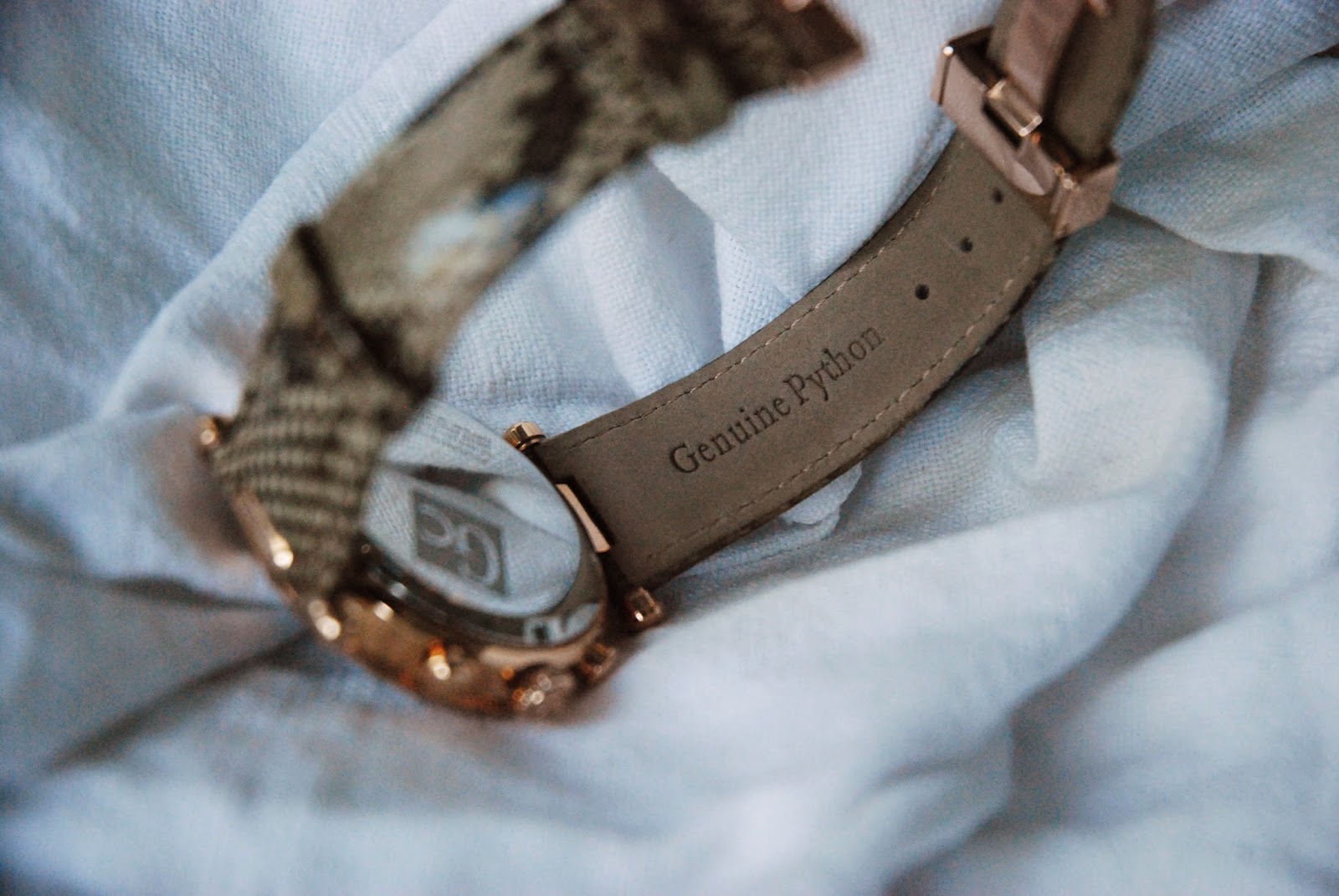 The Wilde Things : GC Diver Chic Python