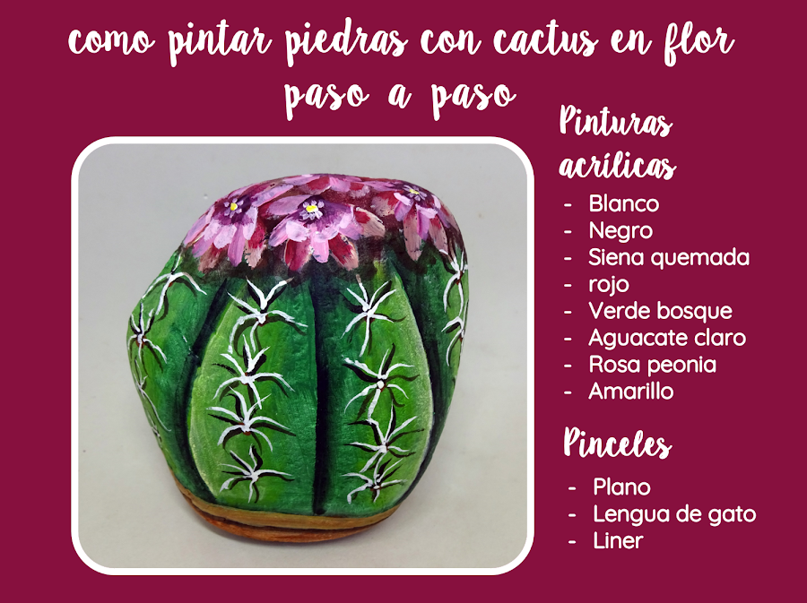 COMO PINTAR PIEDRAS CON CACTUS EN FLOR