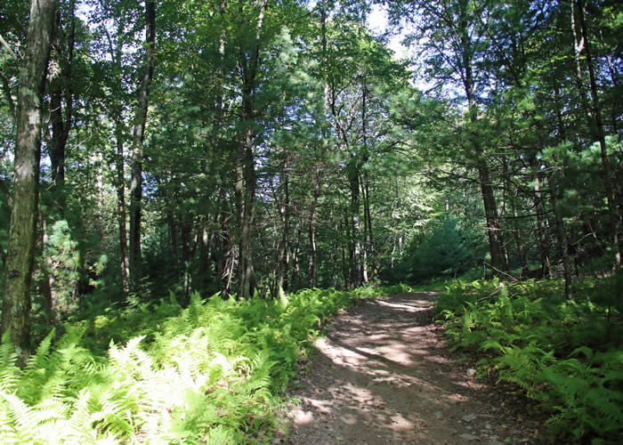 PA Environment Digest Blog Oct. 22 Get Outdoors Poconos Hike In The