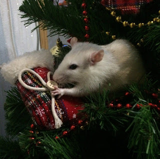 Hermosa tarjeta de Navidad para el año del ratón y la rata 2024. Gratis, hermosas y animadas tarjetas de Año Nuevo en el año del mouse
