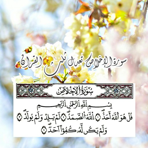 صور ايات قرانيه 2020 خلفيات ايات قرانية مصراوى الشامل