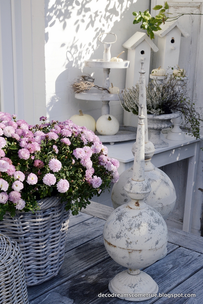 Dreams Come True: Herbst & Terrasse