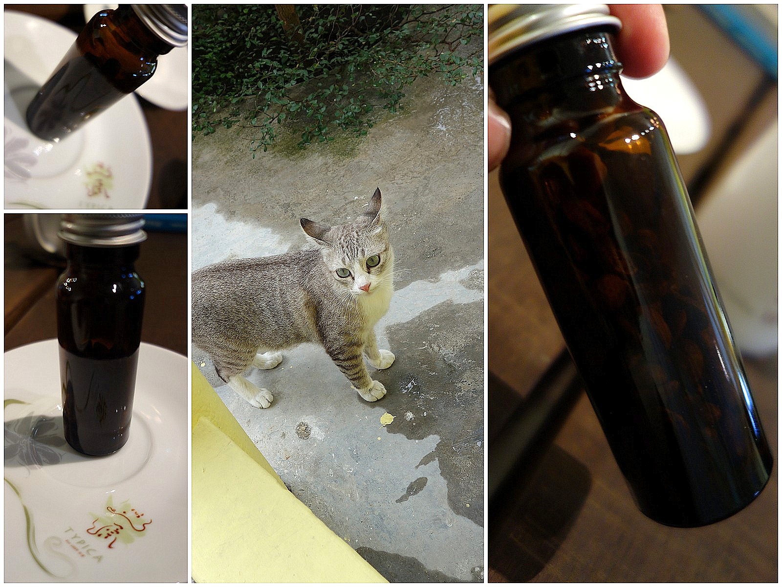 Eat Drink KL Typica 2 Ampang & VCR Cafe Galloway, Pudu