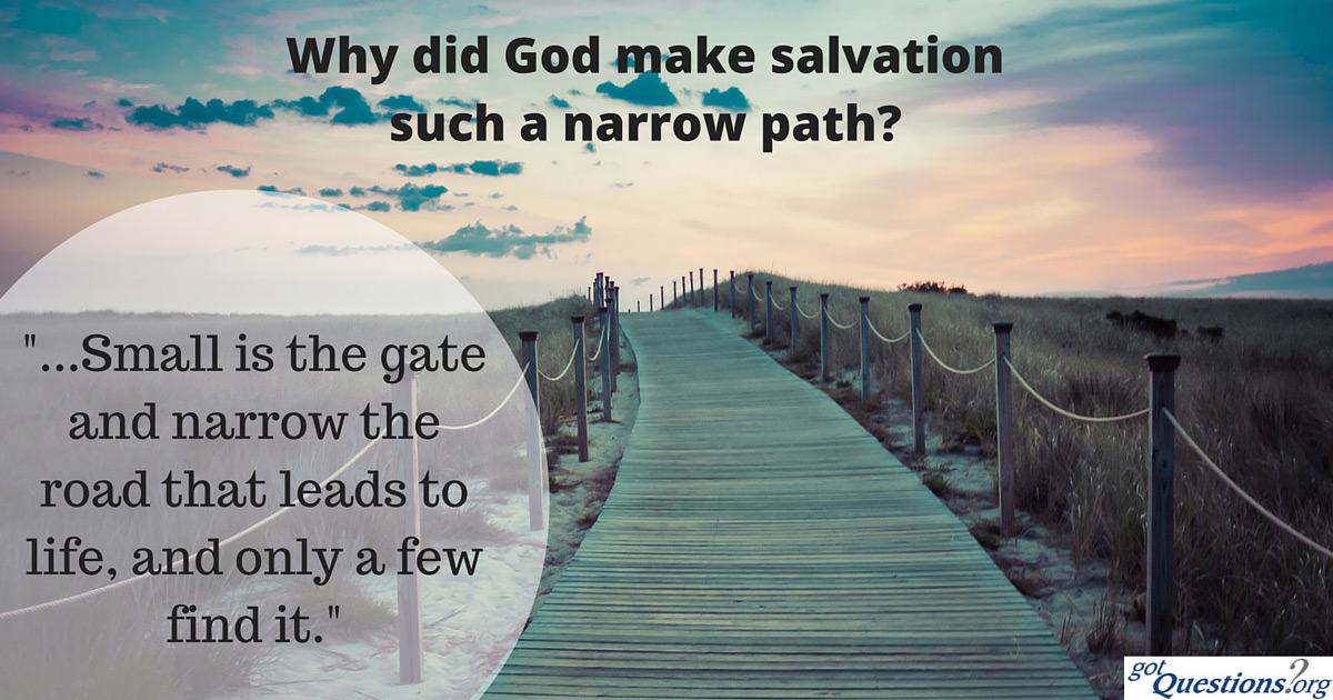 My Thoughts The NARROW Path