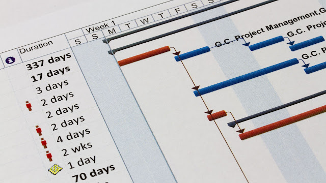 POLICY BRIEF | eGovernment Project Management Methodologies: Problems & Solutions