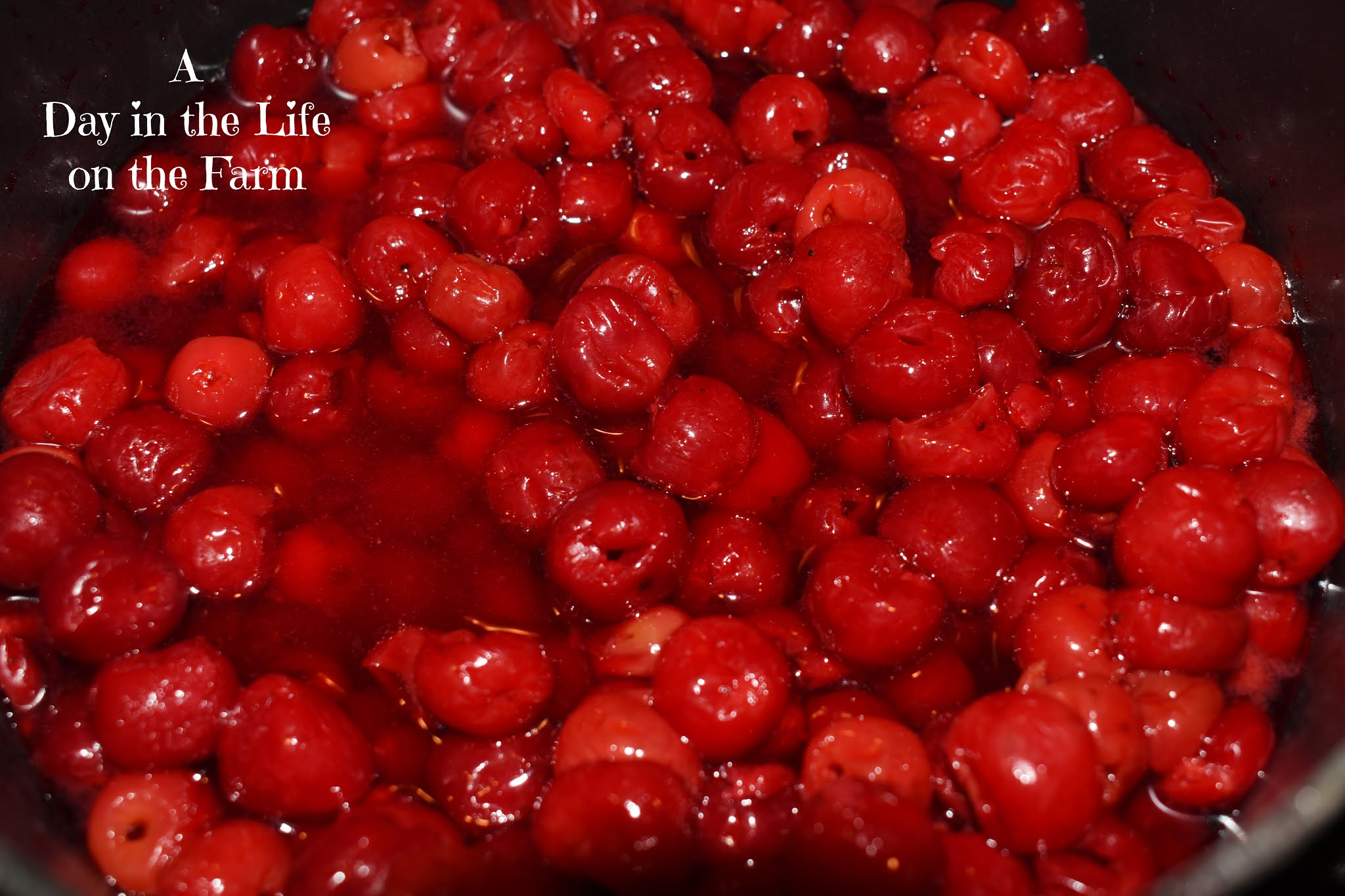 cherry tart raw garden cherry tart raw garden