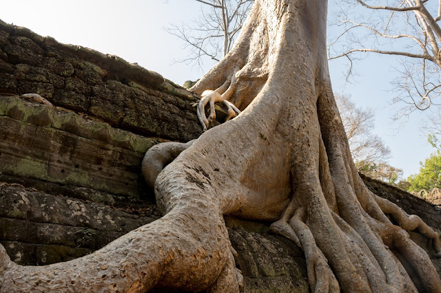 kambodža, siem reap, angkor, vat, wat, cestování, Asie, bayon, thom