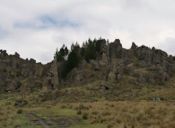 Bosque de piedras