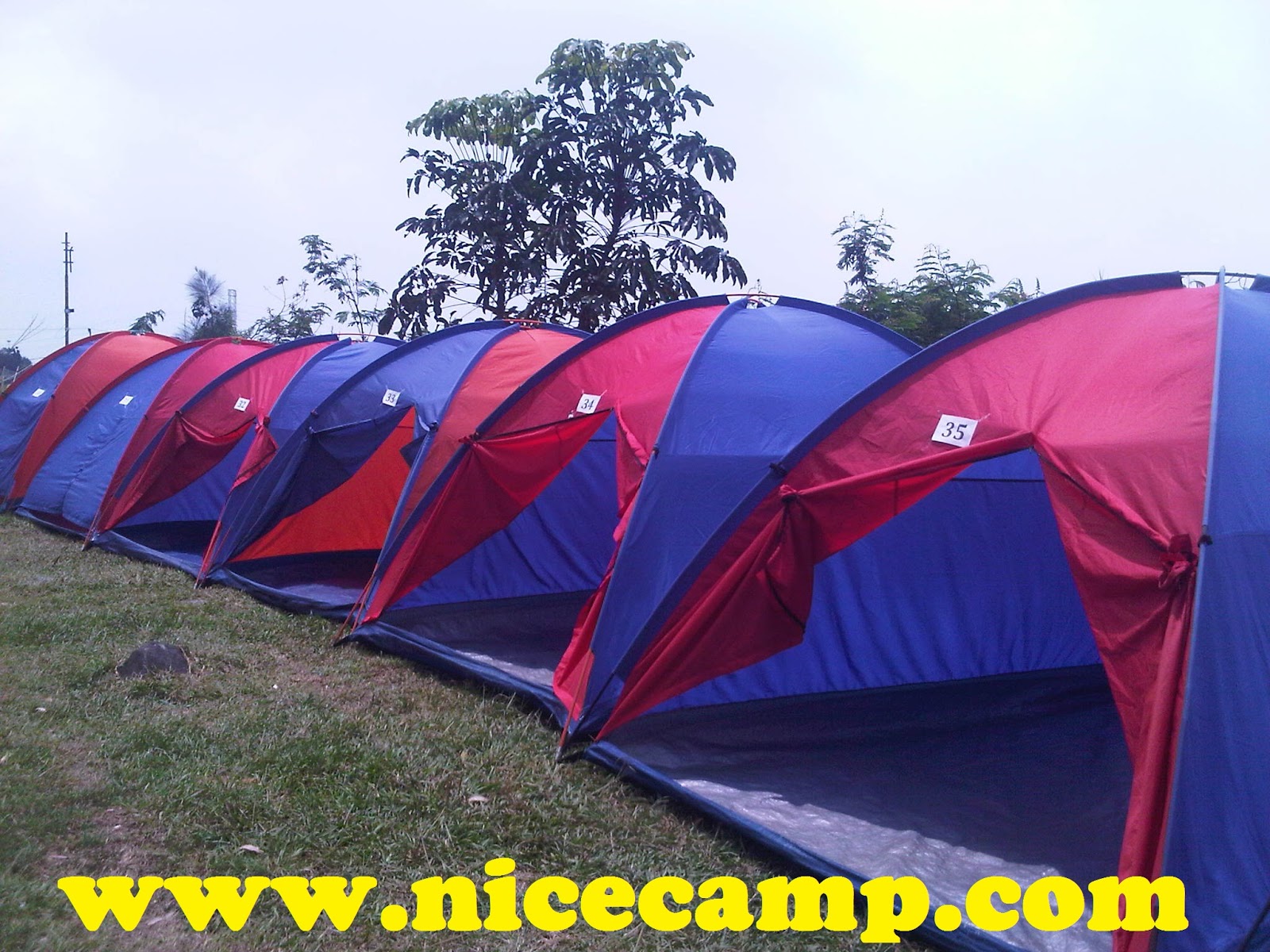 Nice camp