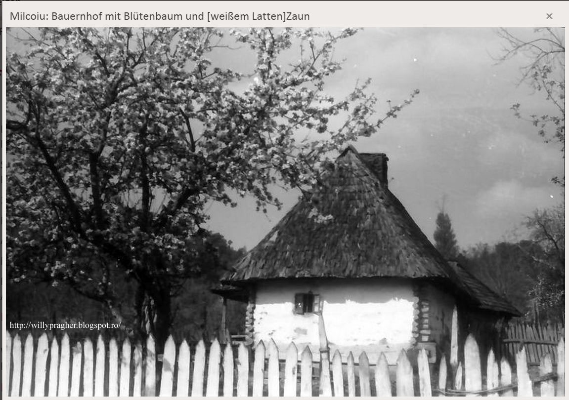 Willy Pragher: 13 mai 1942 - la Milcoiu, județul Vâlcea
