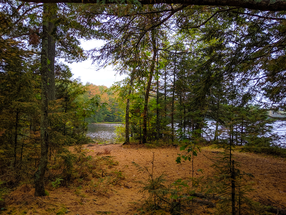 Hiking Otter Lake County Park