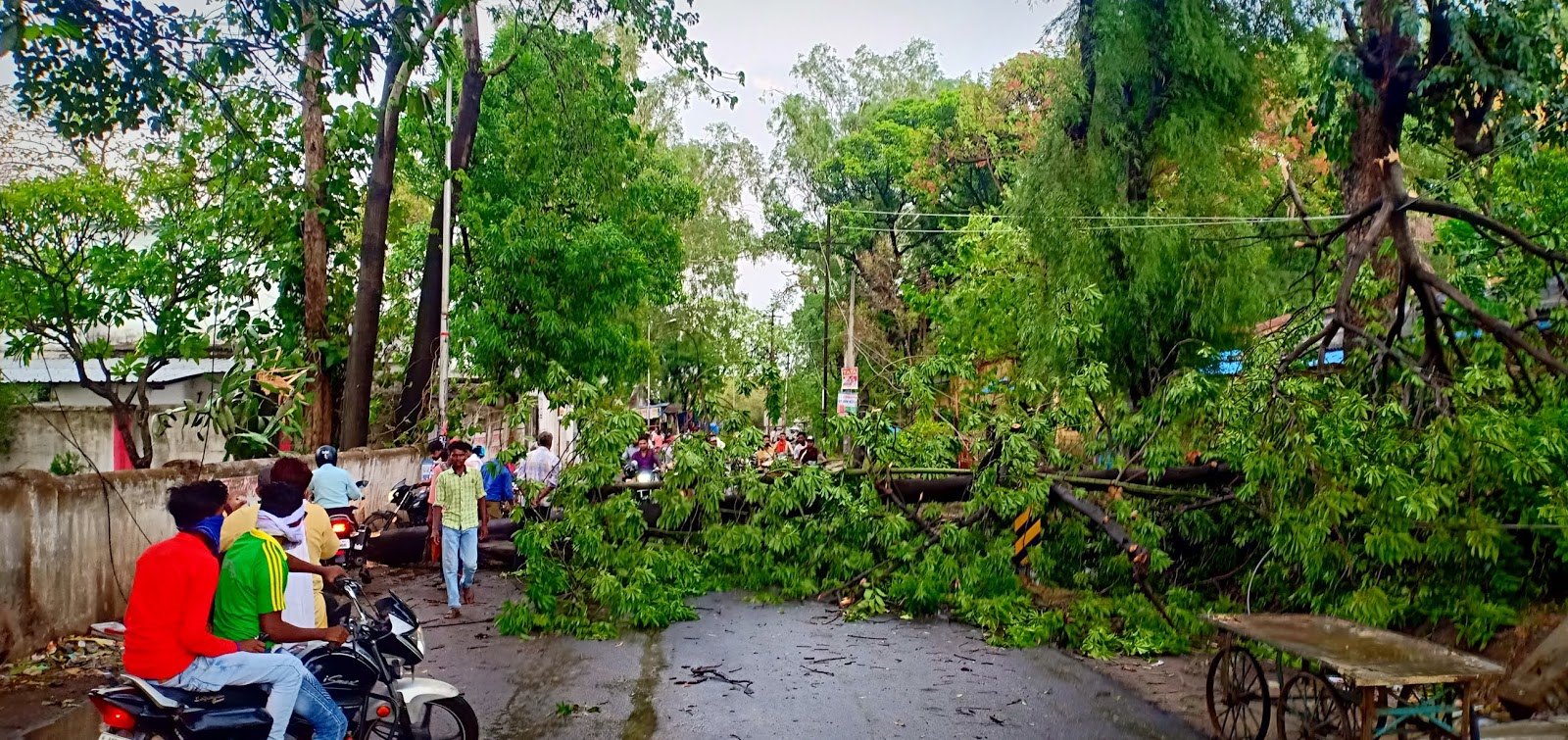आंधी तूफान बारिश ने मचाई जमकर तबाही चारों तरफ पेड़ गिरे तार टूटे कीचड़ से लथपथ हुई सड़कें
