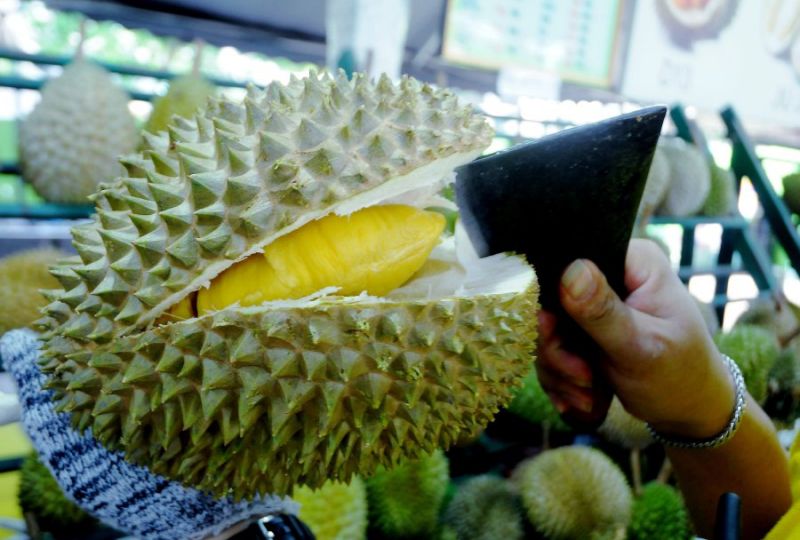 No me gusta el Durian, como amar el sabor del durian.