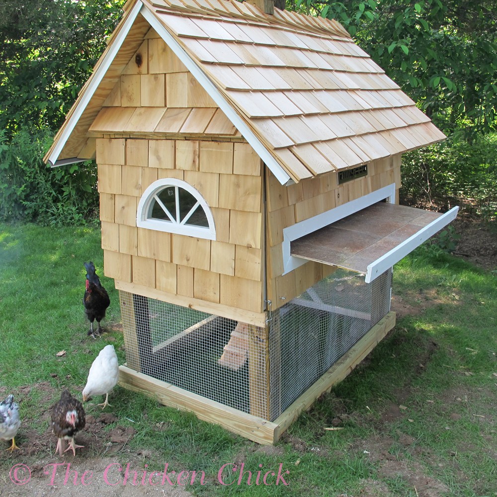 Building our Quail Coop The Chicken Chick®