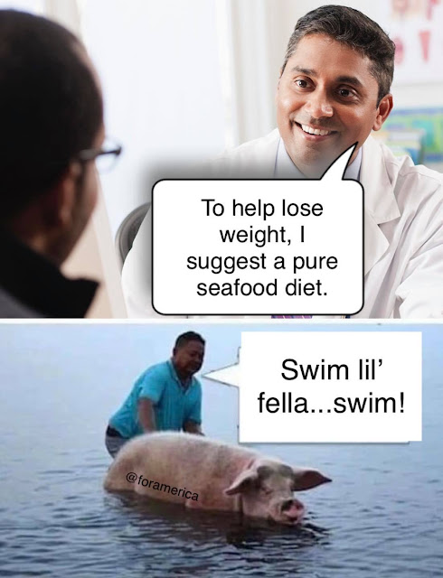 413.jpeg
