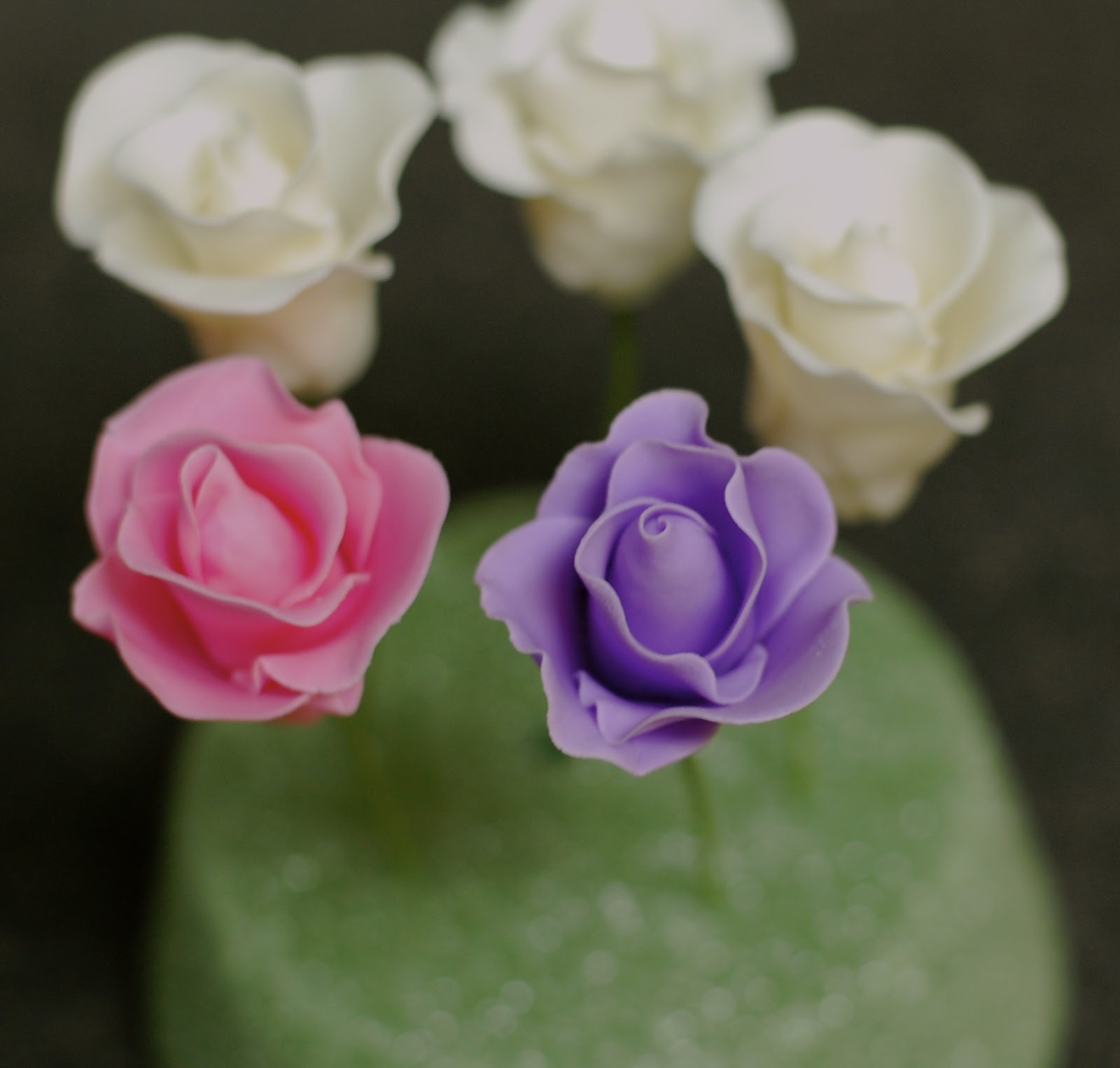 The Sweet, The Sassy and The Blur The Making of the Sugar Rose