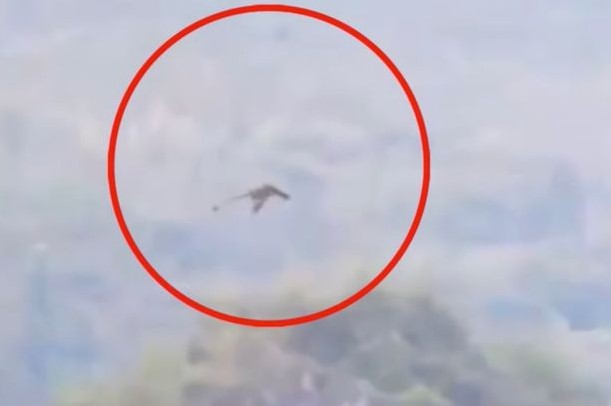 Viral di Youtube! Video Hewan yang Diduga Naga, Terbang di Pegunungan China