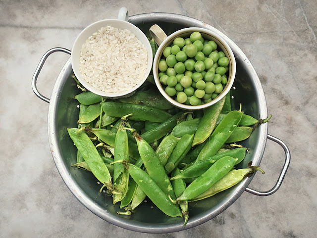 Vieregg Text Redaktion Lektorat Sv Verlag Edelsteinschleifer