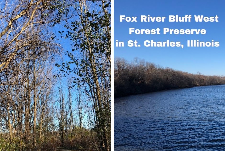 A Little Time and a Keyboard River Rambling Along the Fox River at Fox River Bluff West Forest
