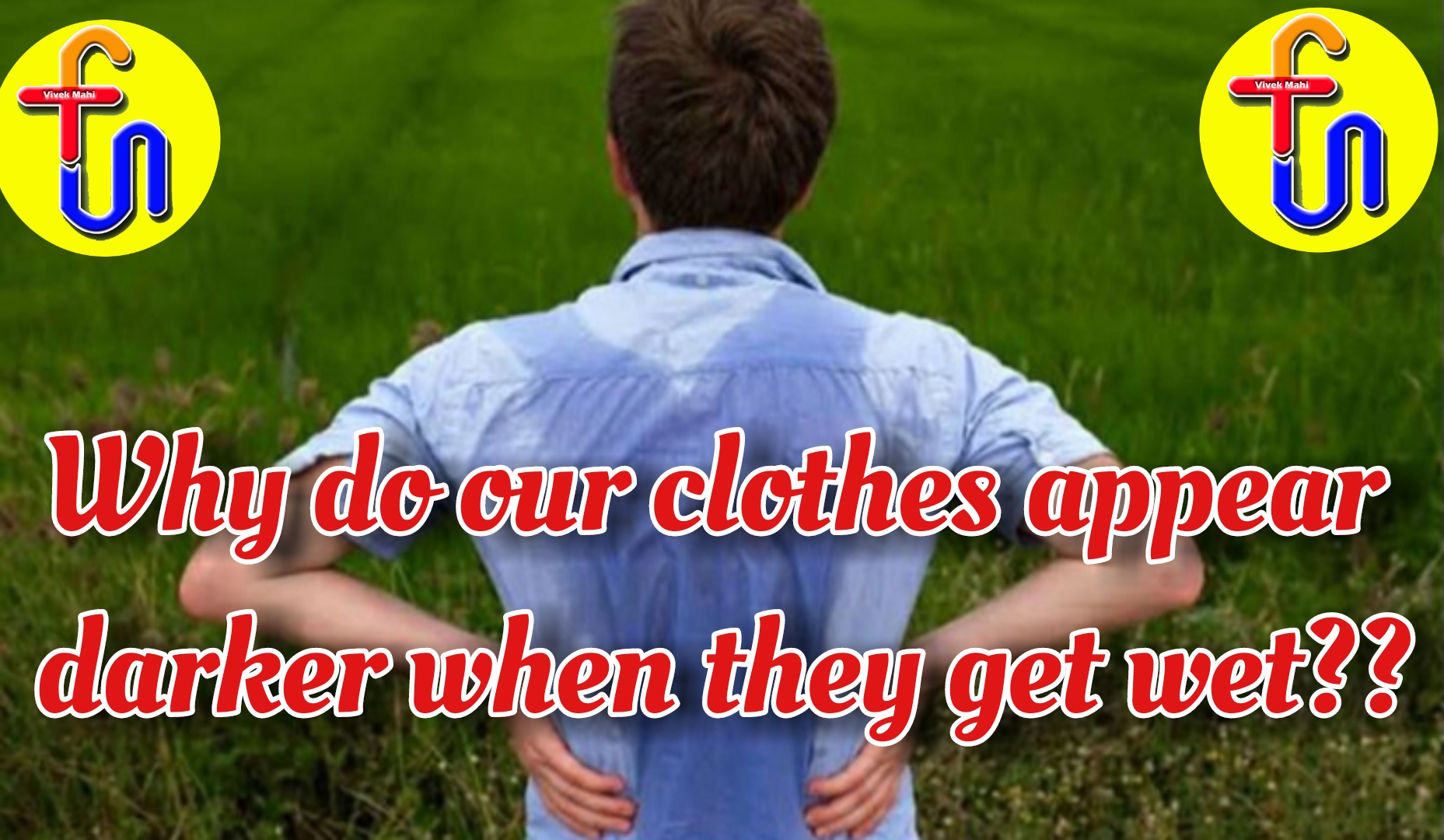 Why do our clothes appear darker when they get wet?