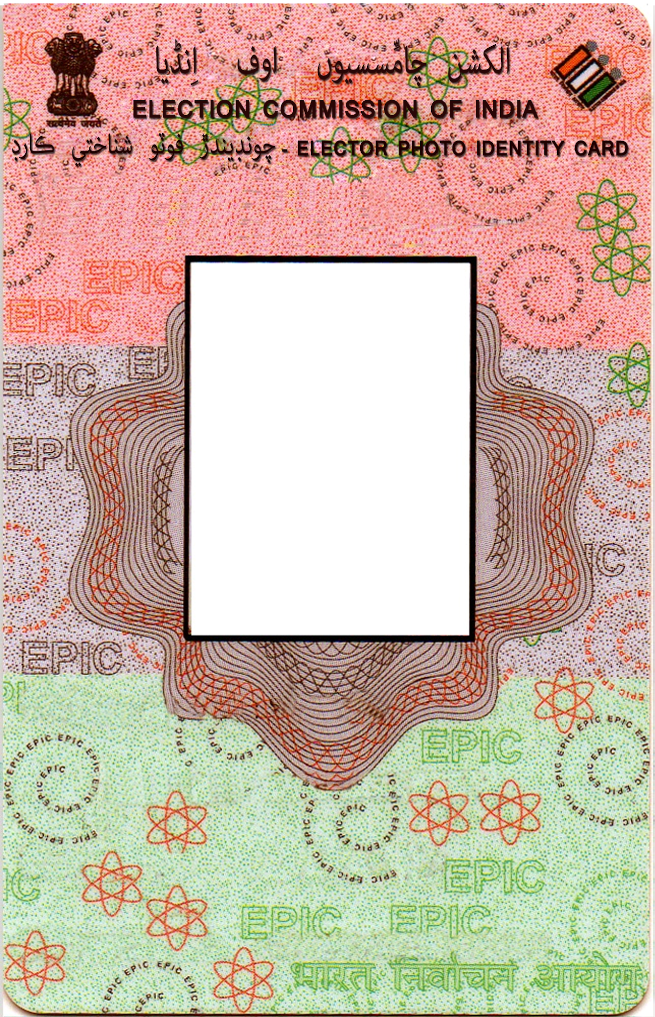 Fake Empty Id Card