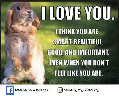 Click and get 101 best I Love You Meme that you can get anywhere else. I Love You Meme