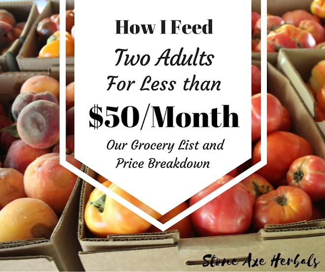 Here Are The Roadkill Laws in All 50 States