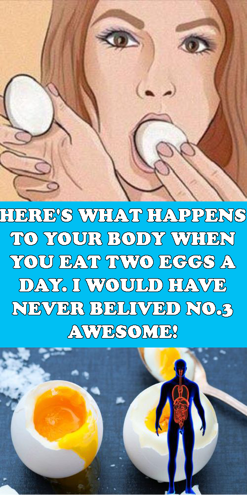 This Happens to Your Body When You Eat 2 Eggs a Day healthy Round
