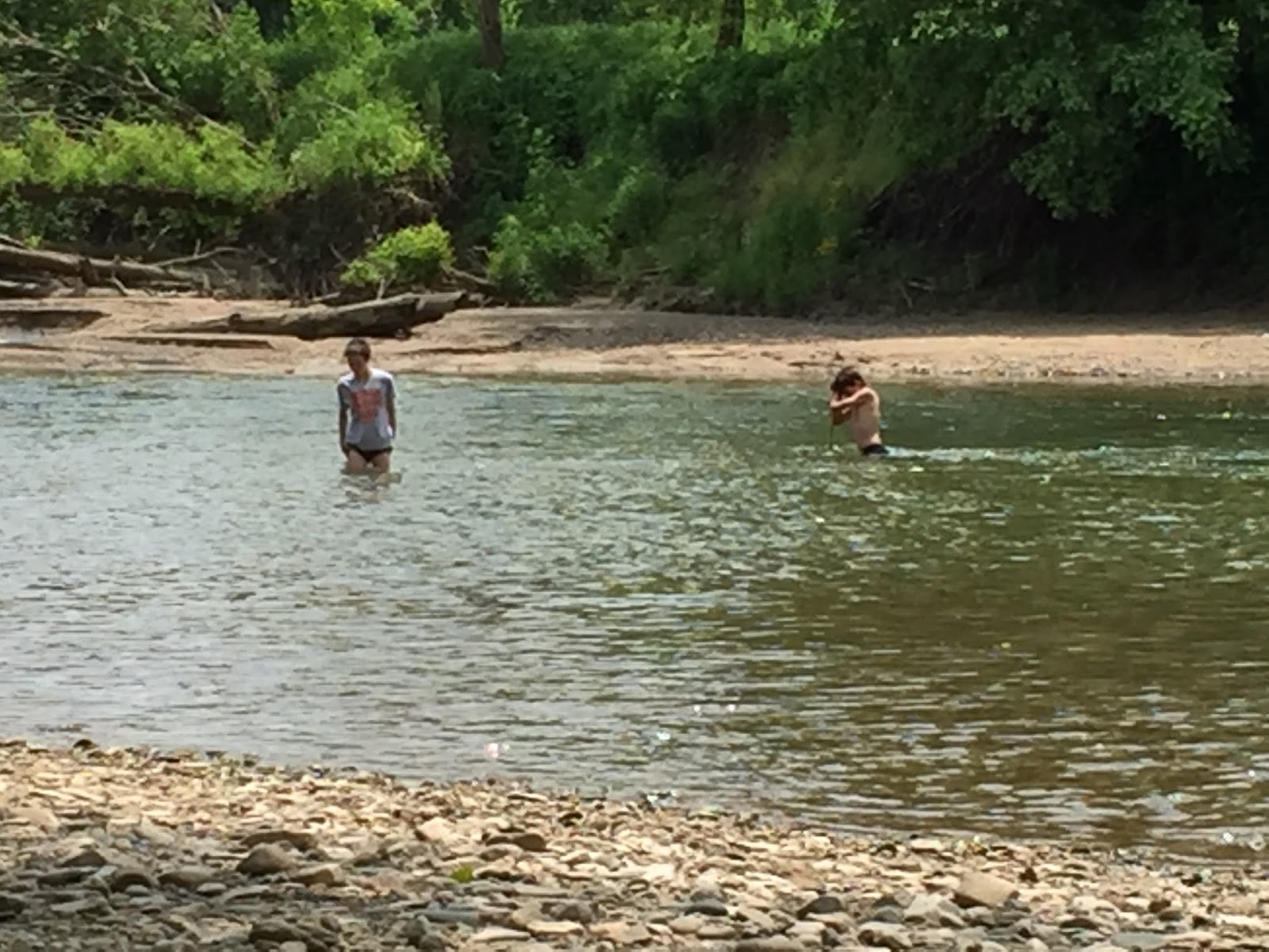 Boy Scout Troop 1 Champaign Overnight Canoe Trip on Sugar Creek, Indiana