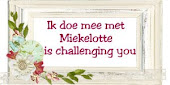 Miekelotte challenge blog