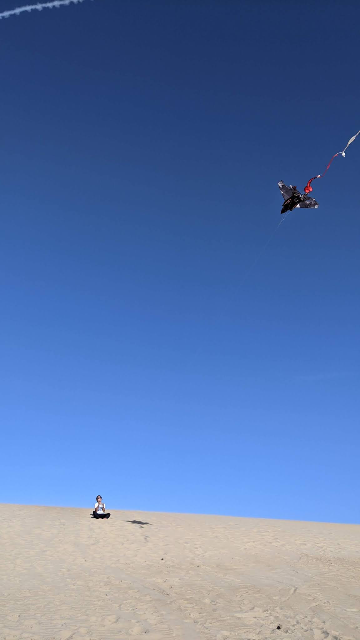 Fireworks and Fireflies OBX "schoolcation" {flying kites and carving