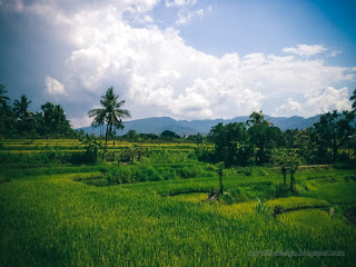 Natural Beauty Coutryside Scenery Of The Rice Fields On A Sunny Cloudy Day At Ringdikit Village North Bali Indonesia