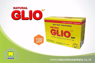 ditributor-nasakendal.blogspot.com jual pupuk nasa di ketapang kalbar