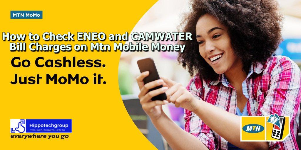 Steps to Check ENEO and CAMWATER Bill Charges on Mtn MoMo