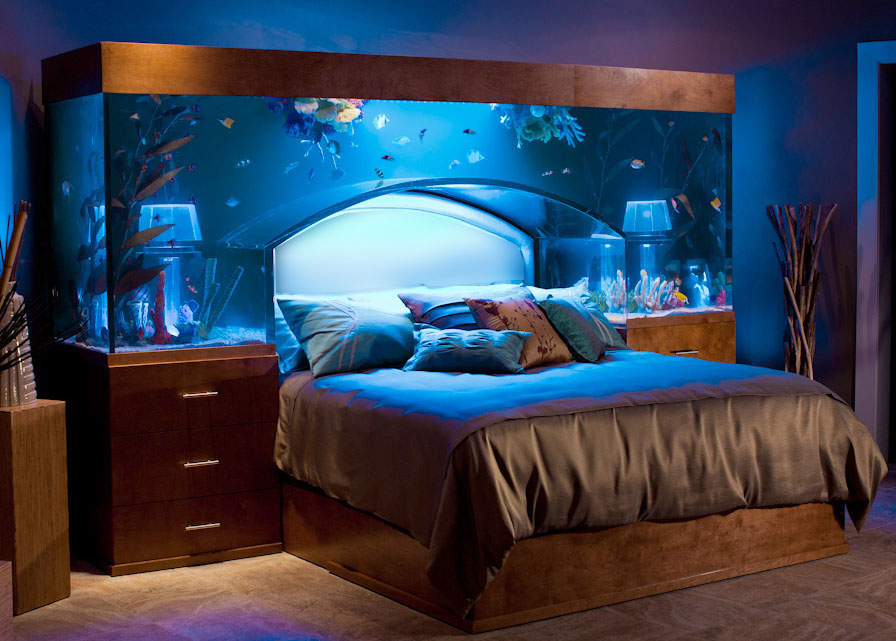 Headboard Aquarium - Amazing Fish Tanks
