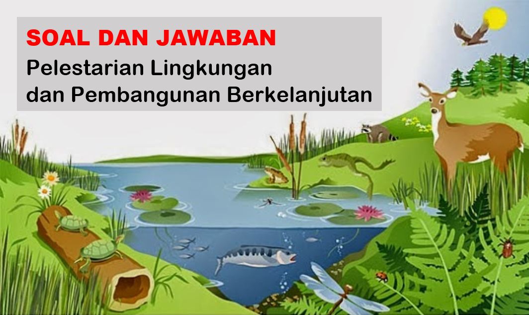 45+ 30 soal pilihan ganda biologi tentang ekosistem beserta jawaban nya ideas in 2021 