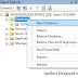 Database