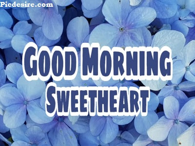 Good Morning Sweetheart, Best 20 Images of Good morning Sweetheart