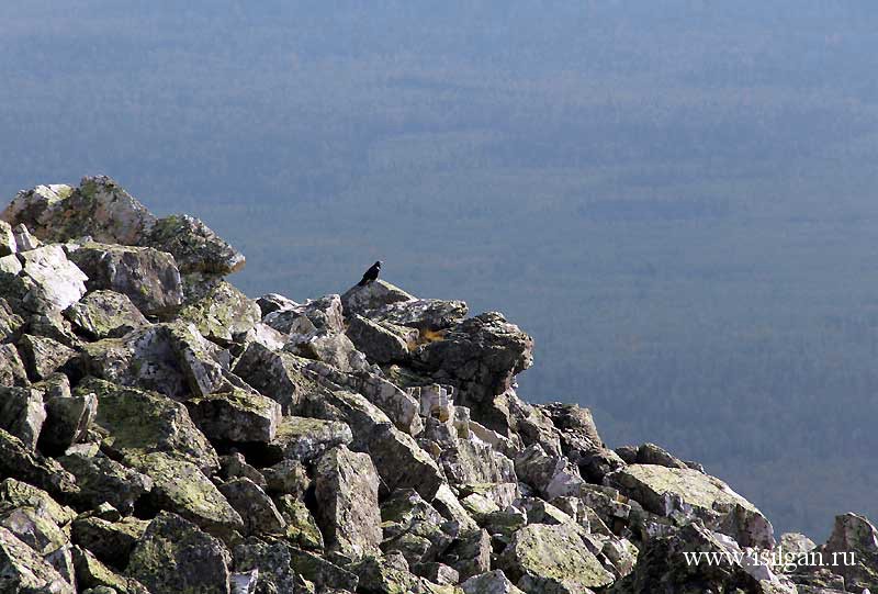 Гора Большой Нургуш (1406м). Национальный парк Зюраткуль. Челябинская область.