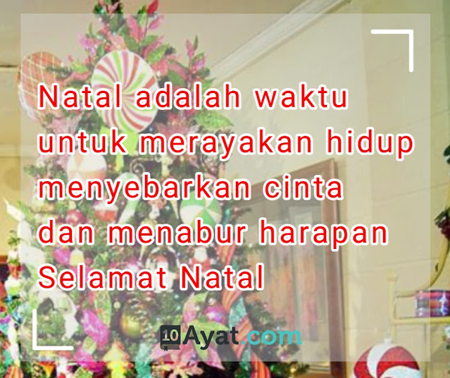 Logopit 1608813574134